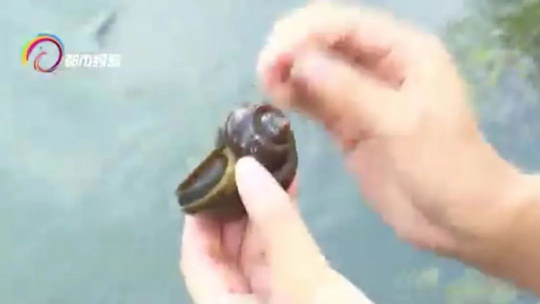 DƬ